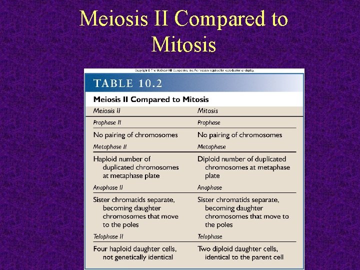 Meiosis II Compared to Mitosis 2011 -12 