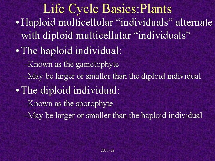 Life Cycle Basics: Plants • Haploid multicellular “individuals” alternate with diploid multicellular “individuals” •