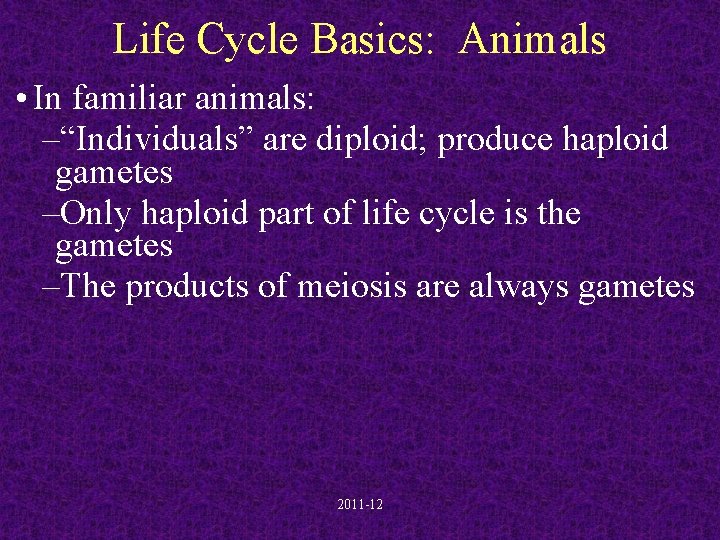 Life Cycle Basics: Animals • In familiar animals: –“Individuals” are diploid; produce haploid gametes