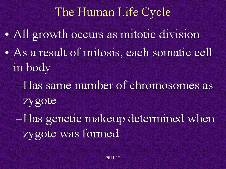 The Human Life Cycle • All growth occurs as mitotic division • As a