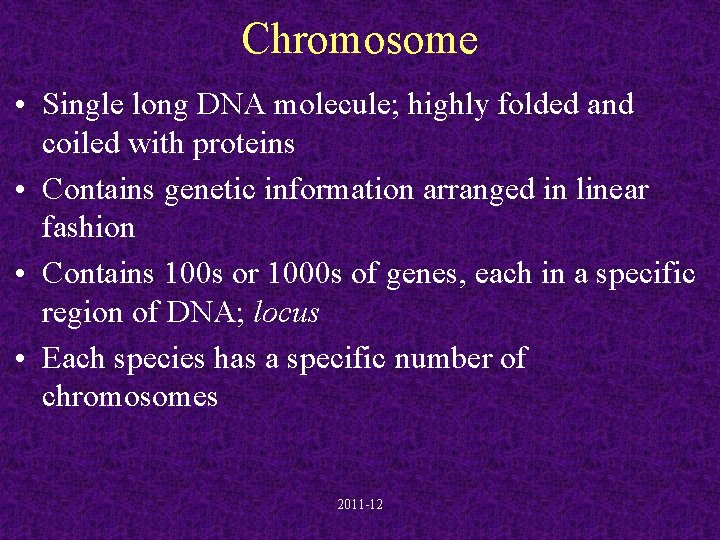 Chromosome • Single long DNA molecule; highly folded and coiled with proteins • Contains