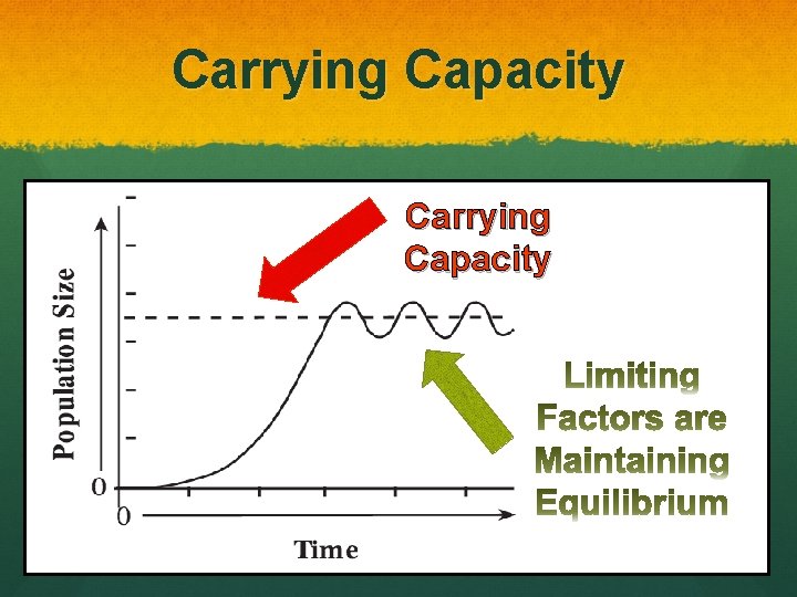 Carrying Capacity 