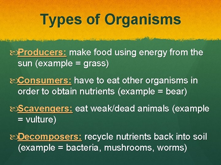 Types of Organisms Producers: make food using energy from the sun (example = grass)