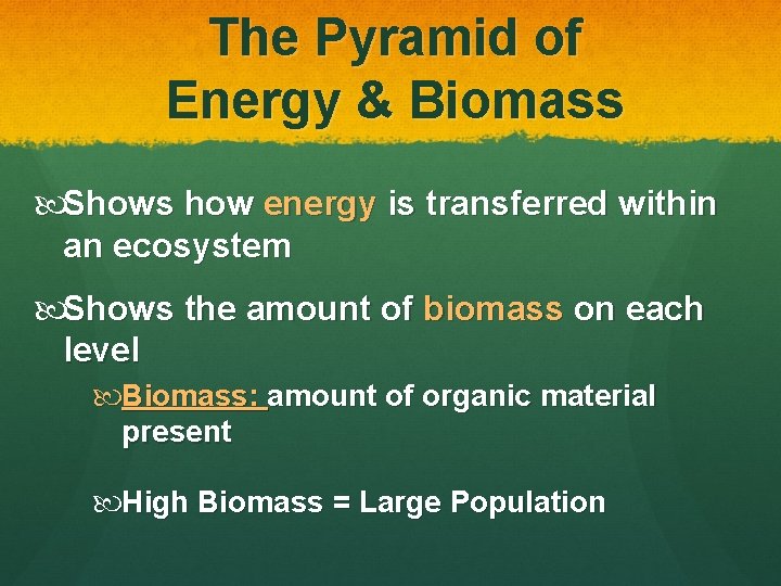 The Pyramid of Energy & Biomass Shows how energy is transferred within an ecosystem
