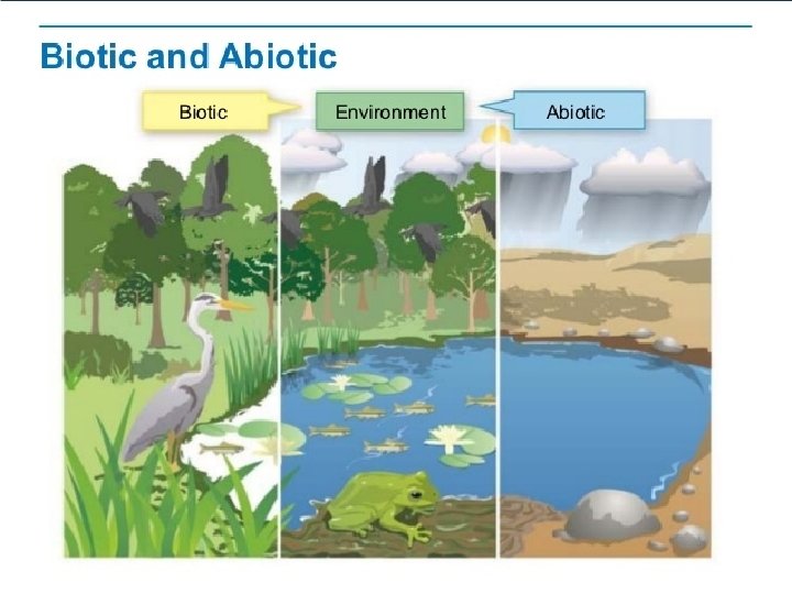 Biotic & Abiotic Factors 