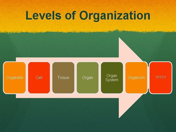 Levels of Organization Organelle Cell Tissue Organ System Organism ? ? ? 