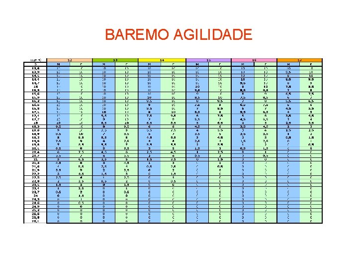 BAREMO AGILIDADE 