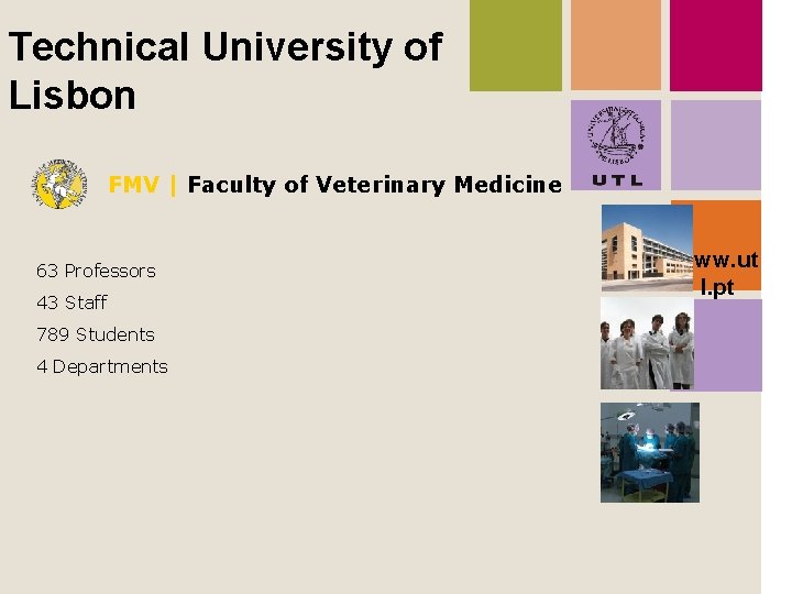 Technical University of Lisbon FMV | Faculty of Veterinary Medicine 63 Professors 43 Staff