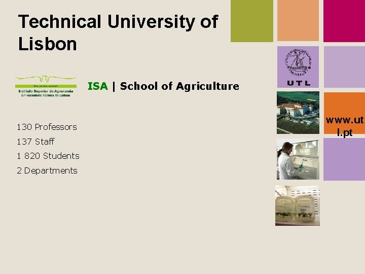 Technical University of Lisbon ISA | School of Agriculture 130 Professors 137 Staff 1