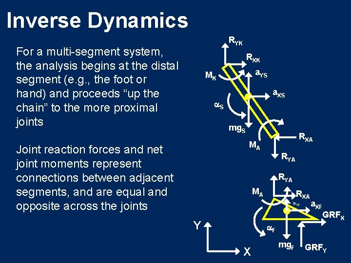 Inverse Dynamics RYK For a multi-segment system, the analysis begins at the distal segment