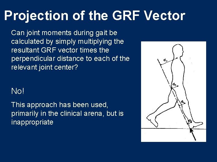 Projection of the GRF Vector Can joint moments during gait be calculated by simply