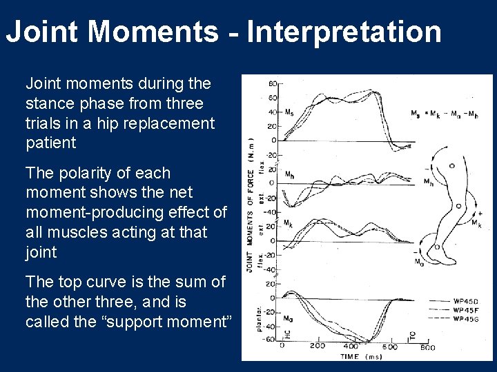 Joint Moments - Interpretation Joint moments during the stance phase from three trials in