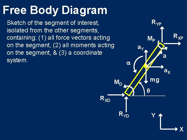 Free Body Diagram RYP Sketch of the segment of interest, isolated from the other