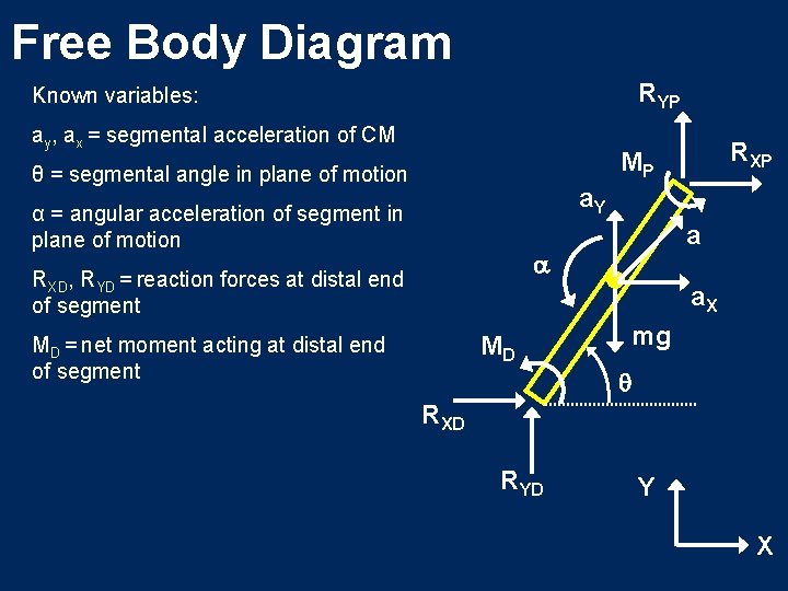 Free Body Diagram RYP Known variables: ay, ax = segmental acceleration of CM RXP