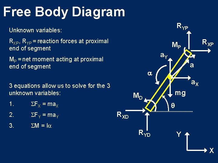 Free Body Diagram RYP Unknown variables: RXP, RYP = reaction forces at proximal end