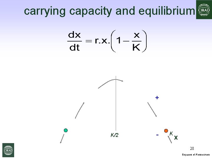 carrying capacity and equilibrium + K/2 - K x 28 Espaces et Ressources 