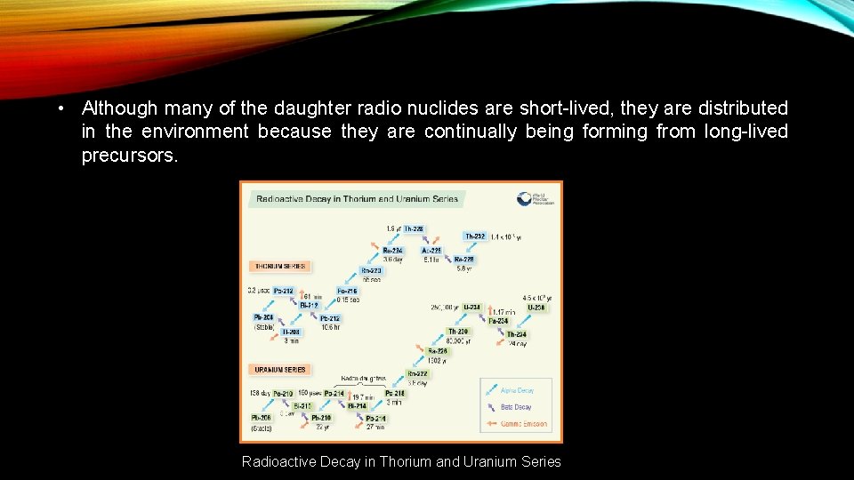  • Although many of the daughter radio nuclides are short-lived, they are distributed
