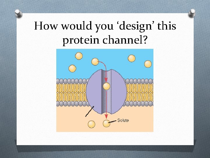 How would you ‘design’ this protein channel? 