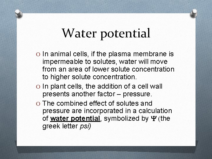 Water potential O In animal cells, if the plasma membrane is impermeable to solutes,