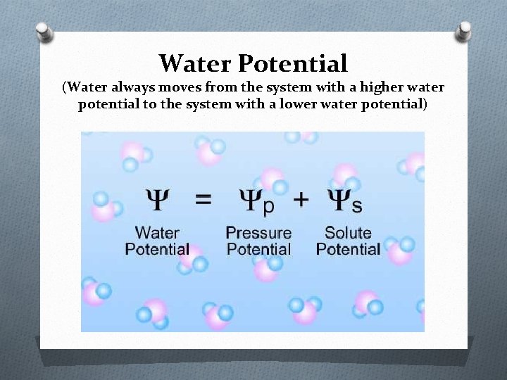 Water Potential (Water always moves from the system with a higher water potential to