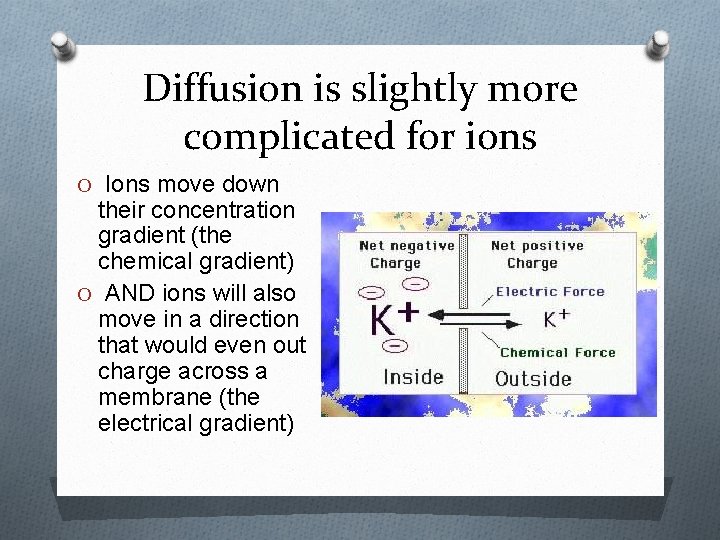 Diffusion is slightly more complicated for ions O Ions move down their concentration gradient