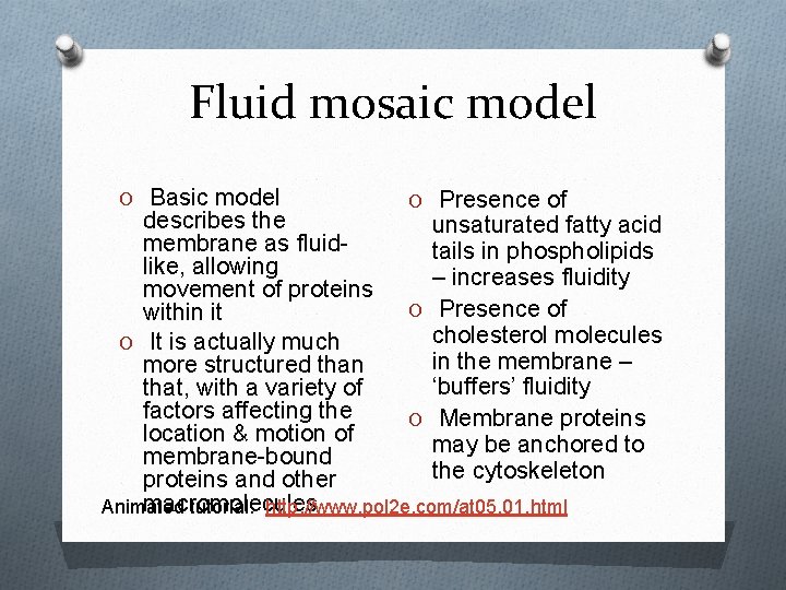 Fluid mosaic model O Basic model O Presence of describes the unsaturated fatty acid