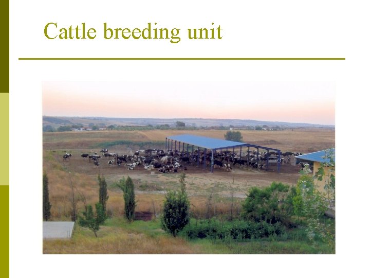 Cattle breeding unit 