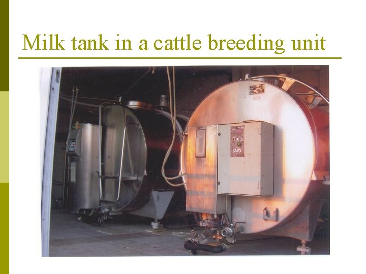 Milk tank in a cattle breeding unit 