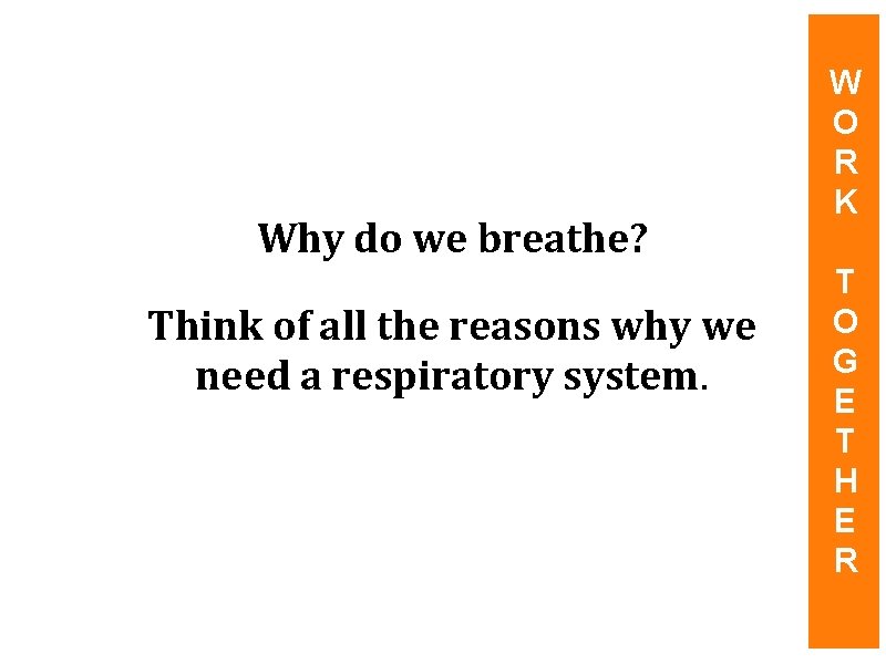 Why do we breathe? Think of all the reasons why we need a respiratory