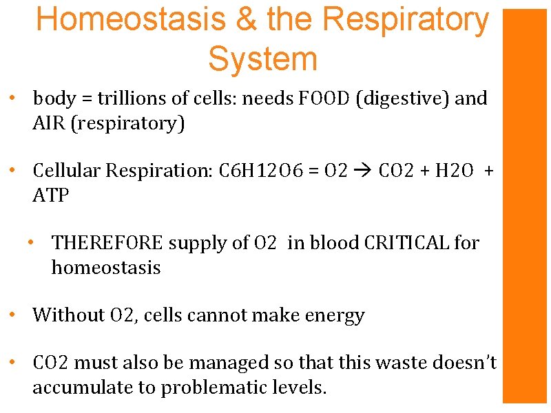 Homeostasis & the Respiratory System • body = trillions of cells: needs FOOD (digestive)