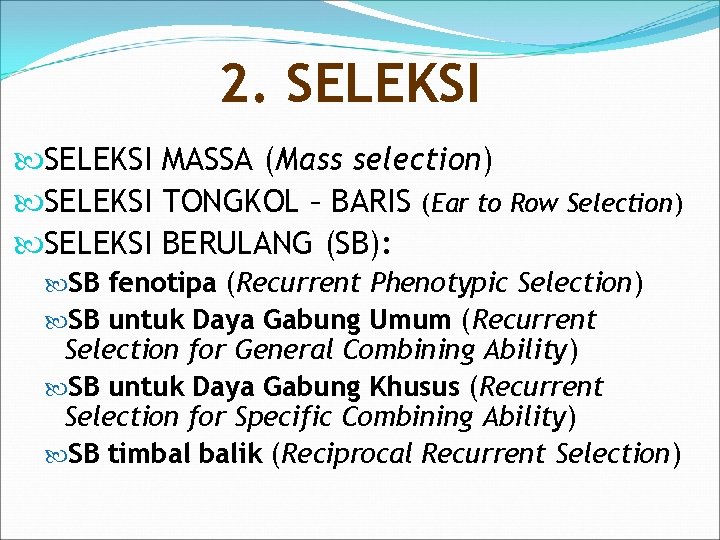 2. SELEKSI MASSA (Mass selection) SELEKSI TONGKOL – BARIS (Ear to Row Selection) SELEKSI