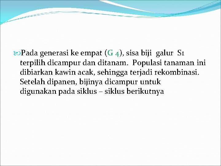  Pada generasi ke empat (G 4), sisa biji galur S 1 terpilih dicampur