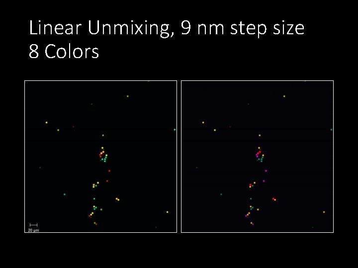 Linear Unmixing, 9 nm step size 8 Colors 