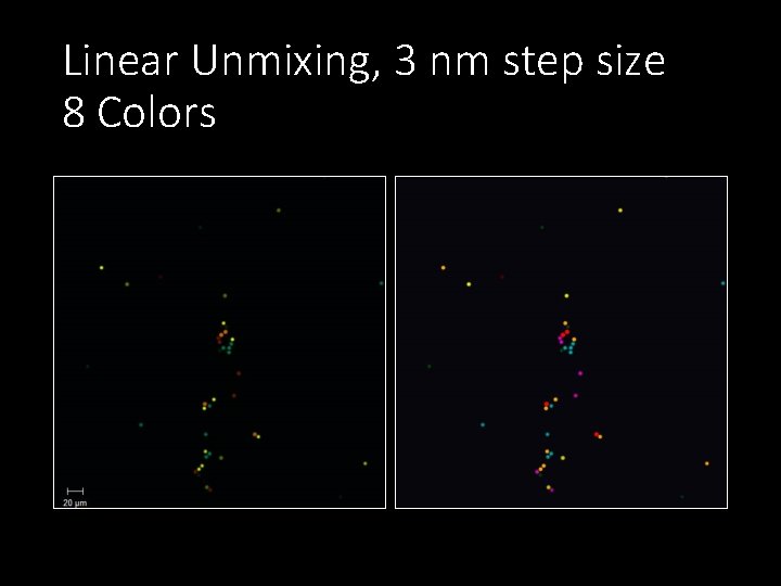 Linear Unmixing, 3 nm step size 8 Colors 