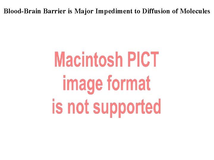 Blood-Brain Barrier is Major Impediment to Diffusion of Molecules 