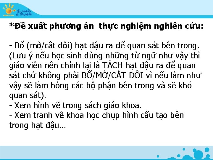 *Đề xuất phương án thực nghiệm nghiên cứu: - Bổ (mở/cắt đôi) hạt đậu