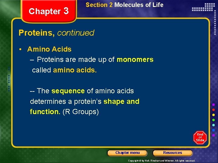 Chapter 3 Section 2 Molecules of Life Proteins, continued • Amino Acids – Proteins