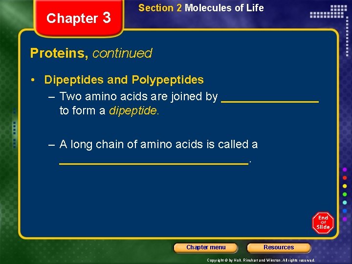 Chapter 3 Section 2 Molecules of Life Proteins, continued • Dipeptides and Polypeptides –