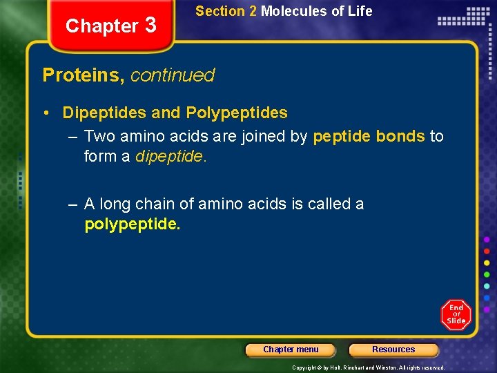 Chapter 3 Section 2 Molecules of Life Proteins, continued • Dipeptides and Polypeptides –