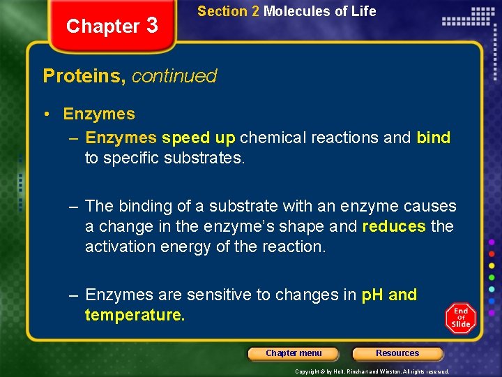 Chapter 3 Section 2 Molecules of Life Proteins, continued • Enzymes – Enzymes speed