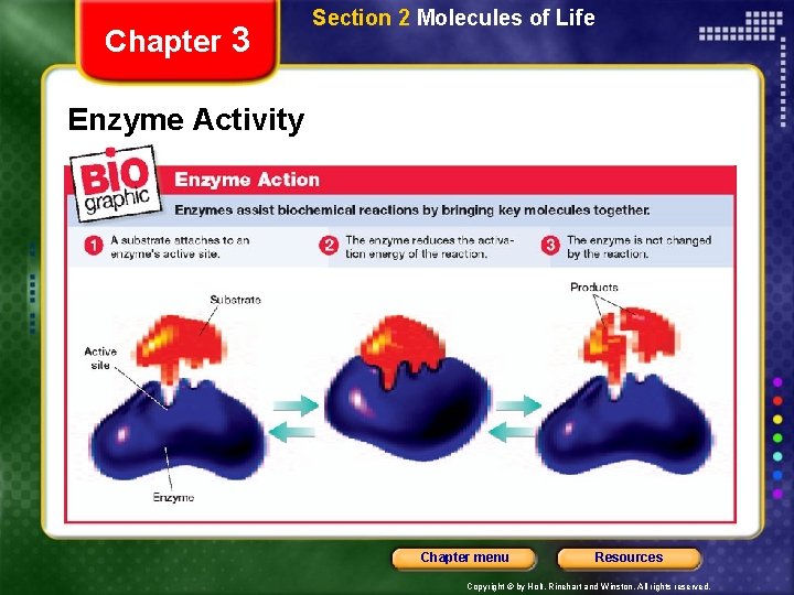 Chapter 3 Section 2 Molecules of Life Enzyme Activity Chapter menu Resources Copyright ©