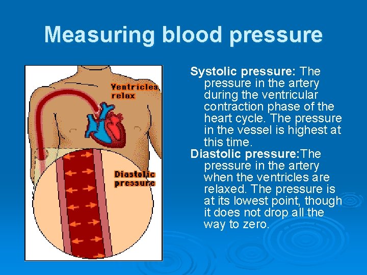 Measuring blood pressure Systolic pressure: The pressure in the artery during the ventricular contraction