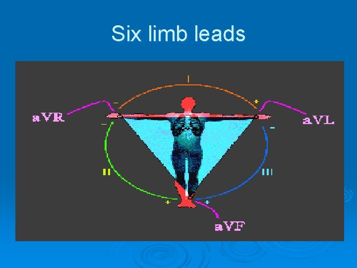 Six limb leads 