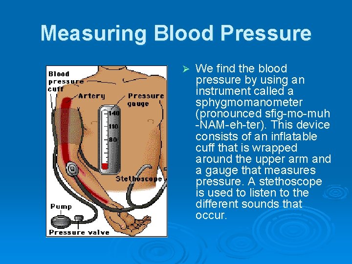 Measuring Blood Pressure Ø We find the blood pressure by using an instrument called