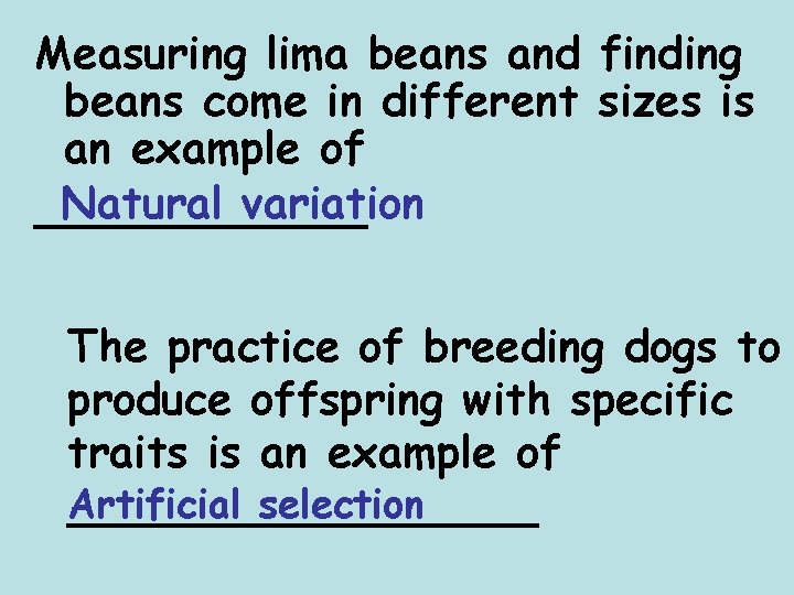 Measuring lima beans and finding beans come in different sizes is an example of