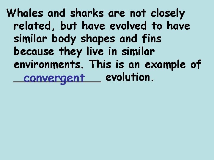 Whales and sharks are not closely related, but have evolved to have similar body