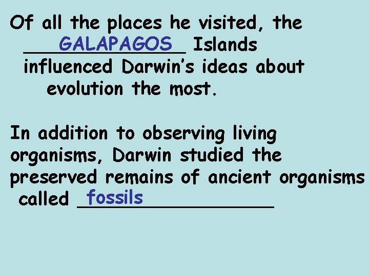 Of all the places he visited, the GALAPAGOS Islands _______ influenced Darwin’s ideas about