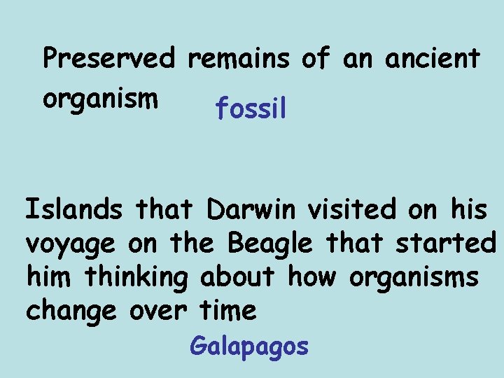 Preserved remains of an ancient organism fossil Islands that Darwin visited on his voyage