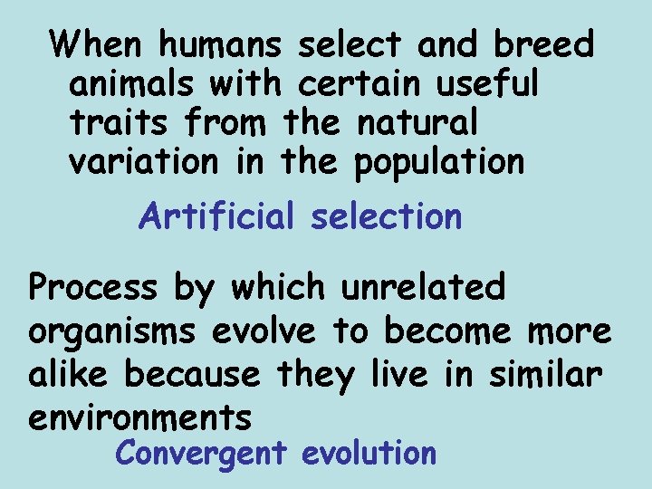 When humans select and breed animals with certain useful traits from the natural variation