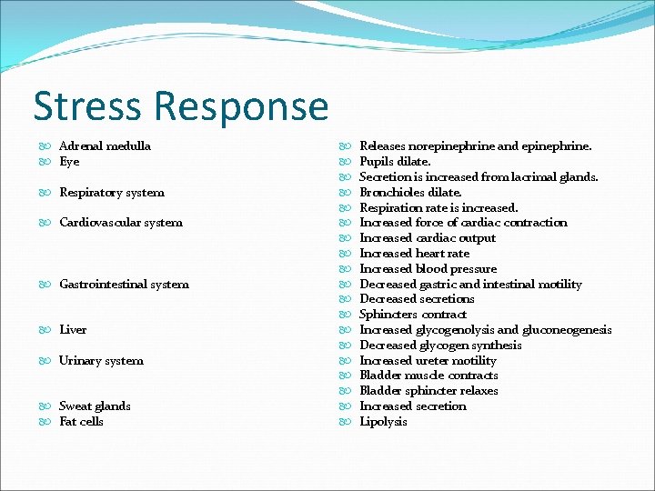 Stress Response Adrenal medulla Eye Respiratory system Cardiovascular system Gastrointestinal system Liver Urinary system